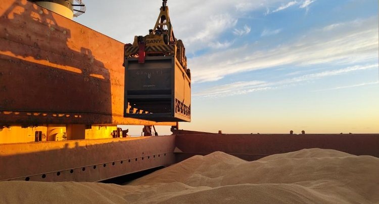    Первая партия российской пшеницы отгружена в Египет через порт Балтийского моря