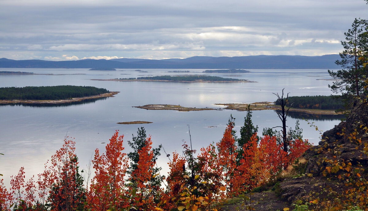 Кандалакшский заповедник 