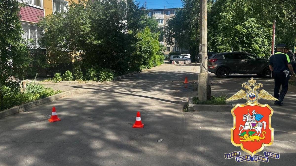    Фото: Пресс-служба ГУ МВД России по Московской области / Telegram