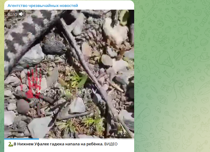    Скриншот: Агентство чрезвычайных новостей Челябинск.