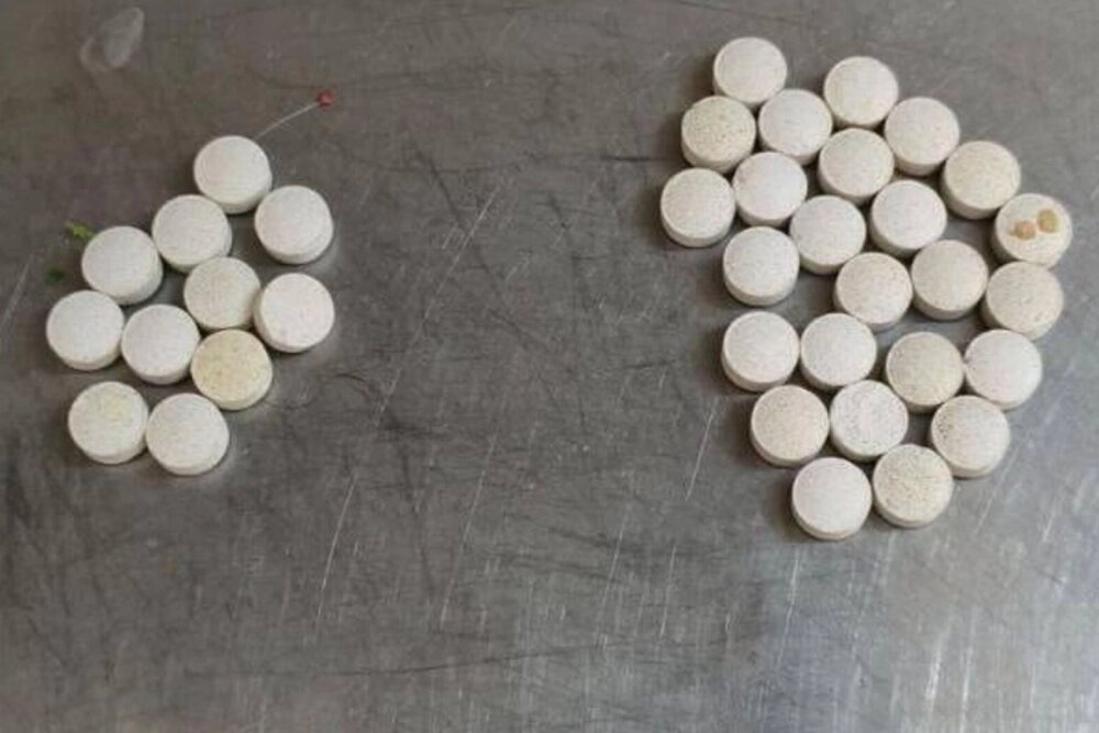    Таблетки, найденные в вольере Московского зоопарка. Кадр видео