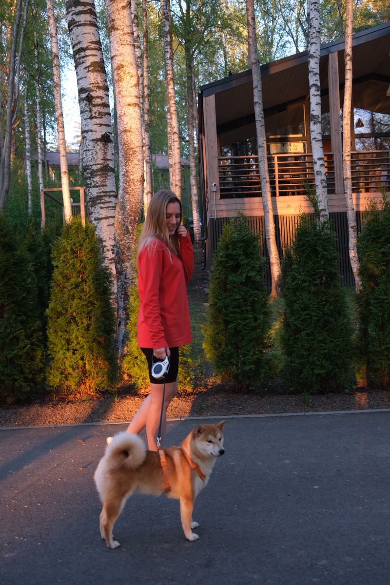 С животными можно до 35см в холке