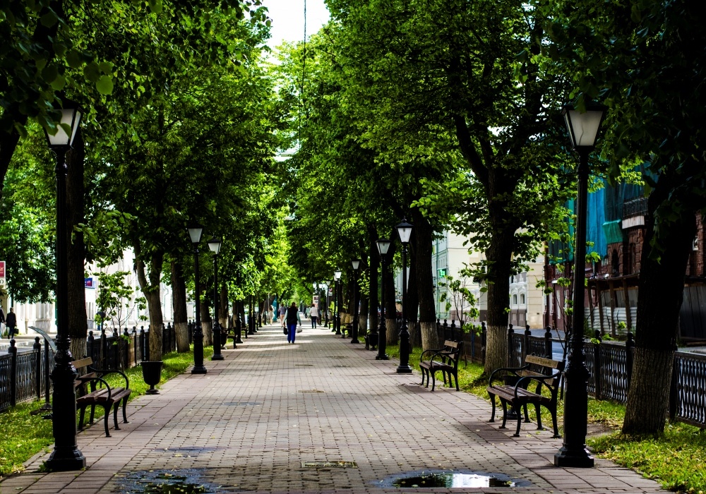    Фото: Туристический портал Костромской области