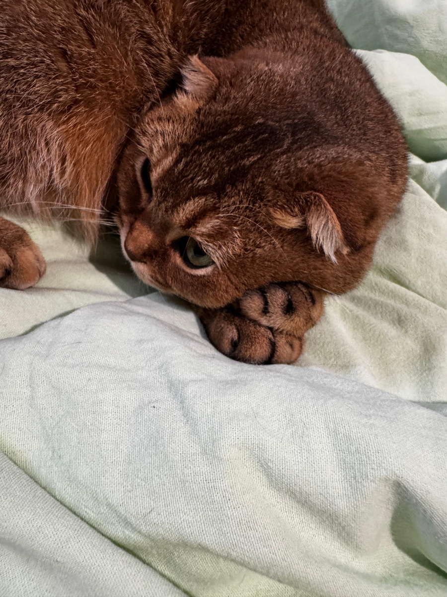 Мей Ли (изличного архива)