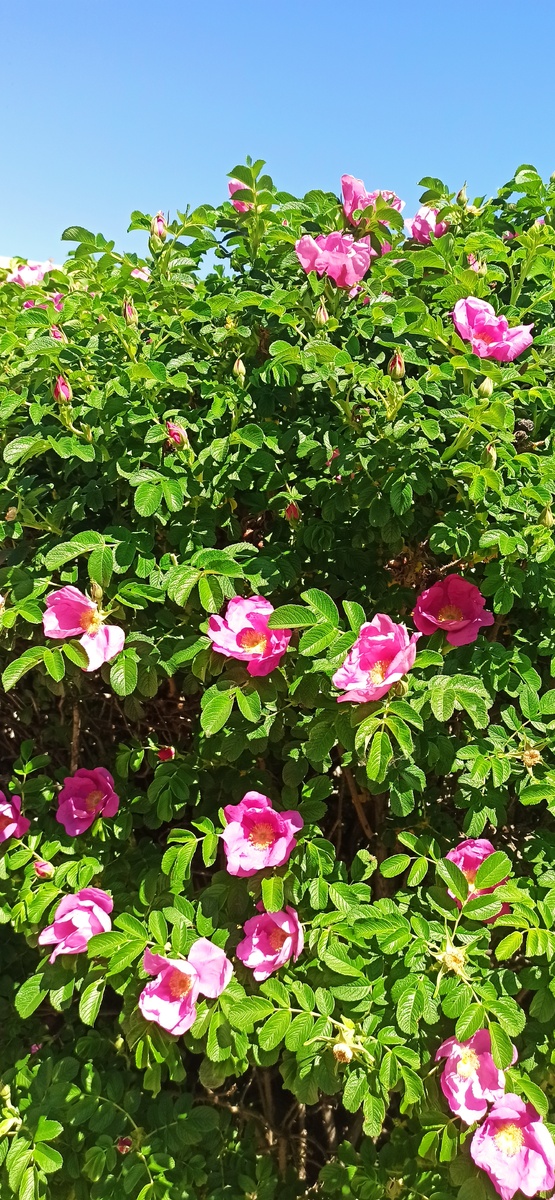 Все  фото  авторские. 