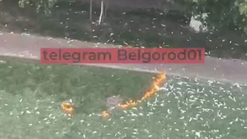     Источник: Telegram-канал «Белгород № 1»