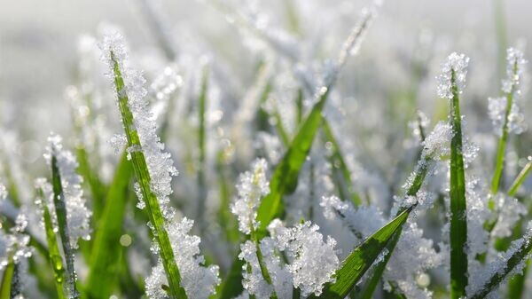    © Depositphotos.com / vencav