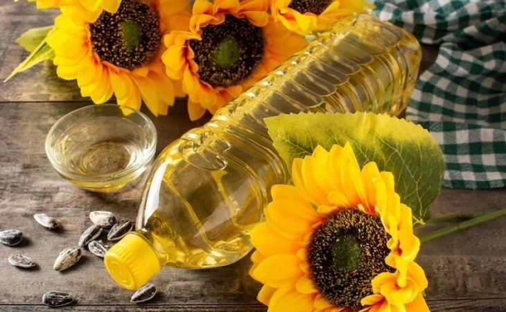 Фото:. freepik.com
