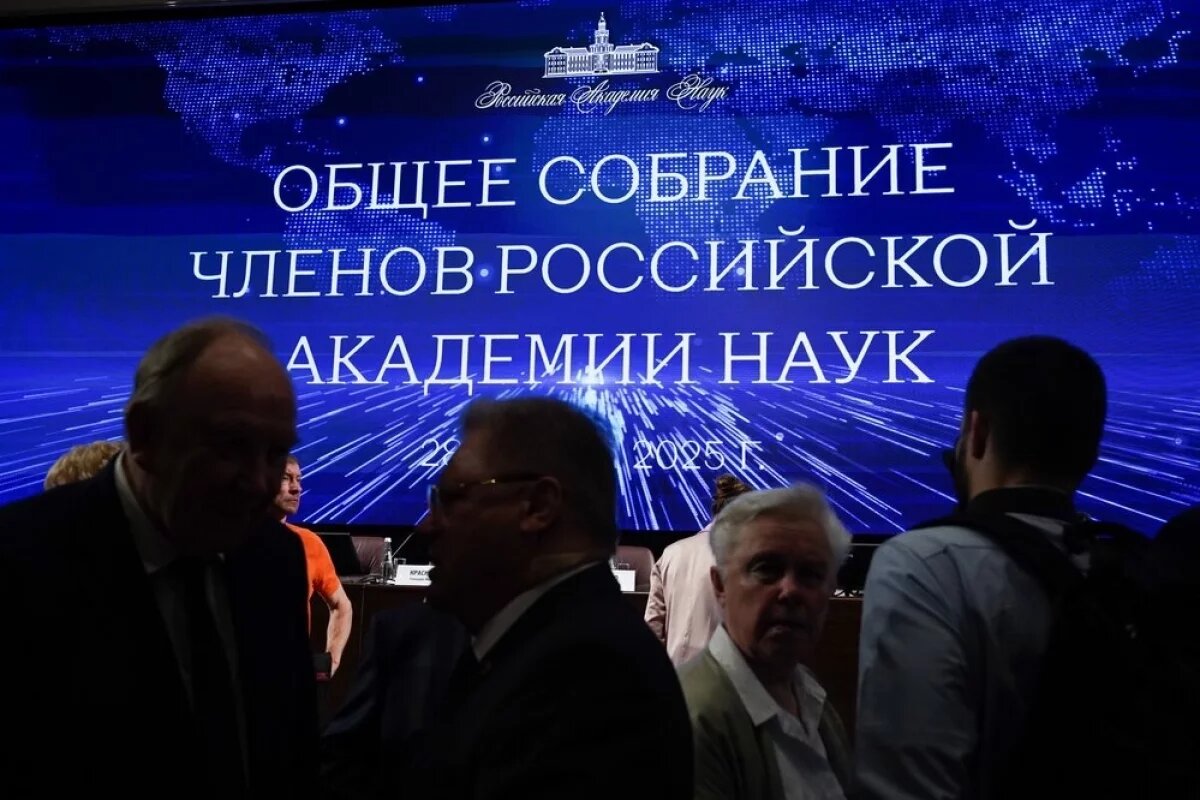    Суперпшеница и саблезубая кошка.