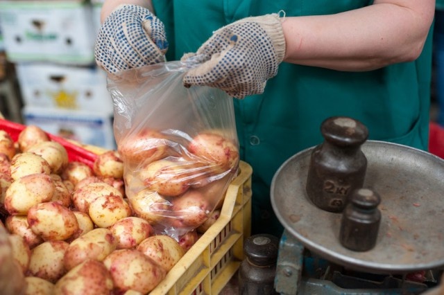   Фото из архива Калининград.Ru