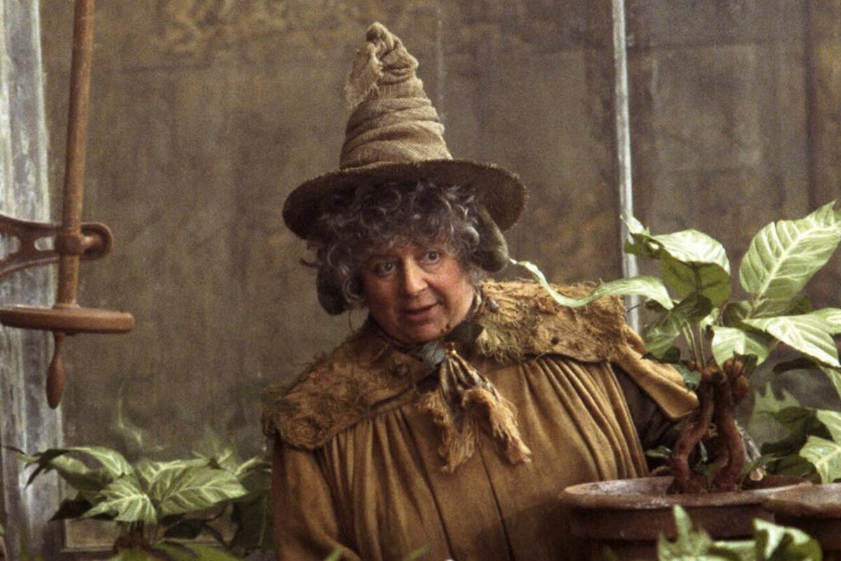    Мириам Маргулис в фильме «Гарри Поттер и Тайная комната», 2002 кадр из фильма