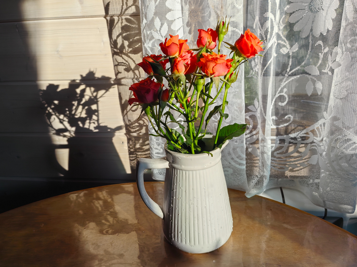 Фото для заставки. Алгоритм не любит вредителей😉