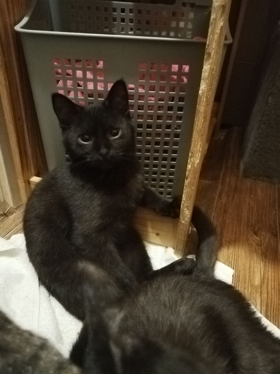 А обязательно, что ли обо мне рассказывать?