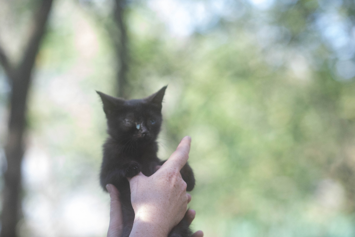 А я и не помню ничего такого!