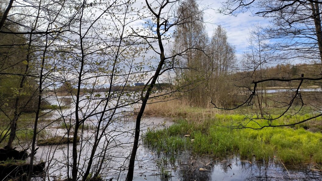    Maksim Konstantinov/Globallookpress