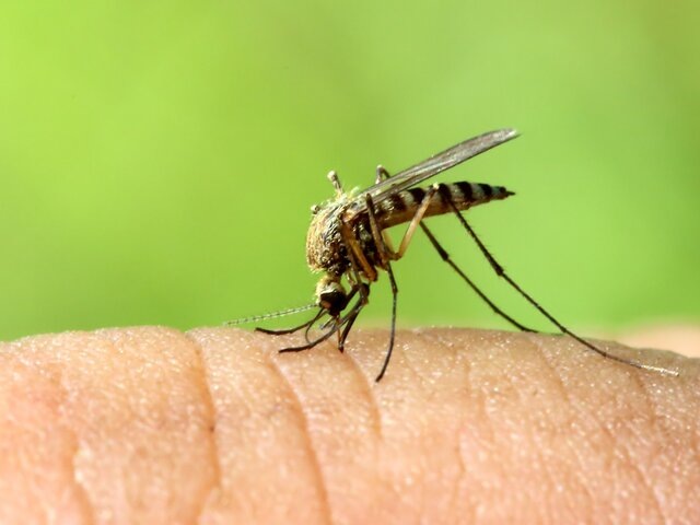    Фото: depositphoto/Kokhanchikov