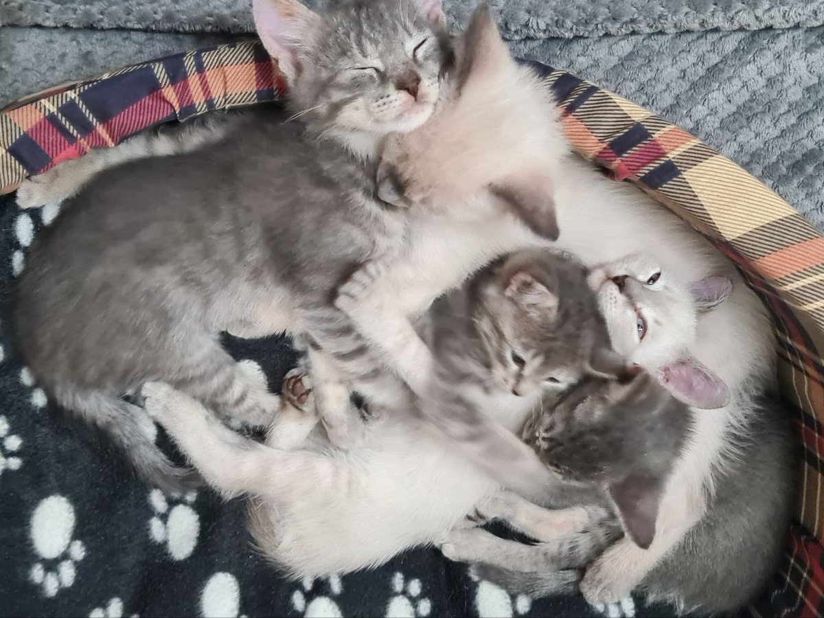 Марту тут хорошо видно