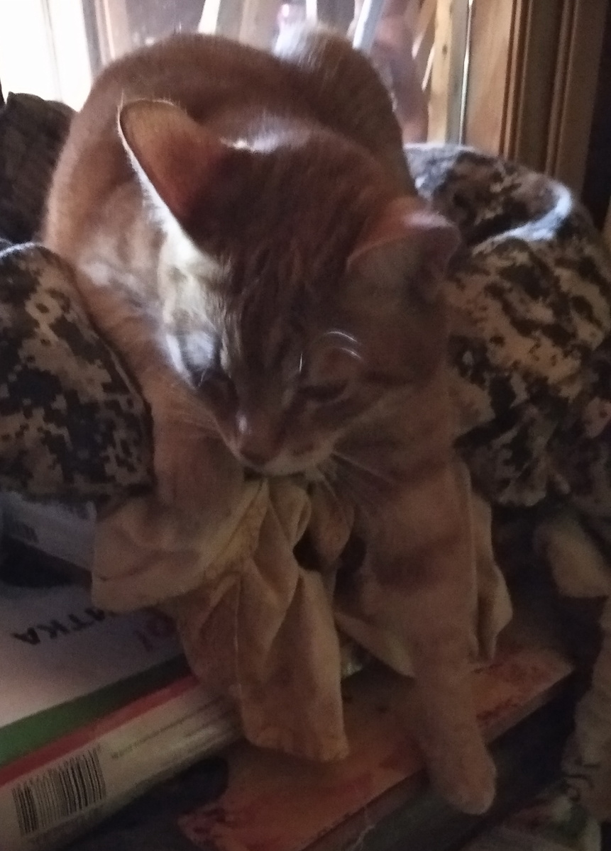 личное фото