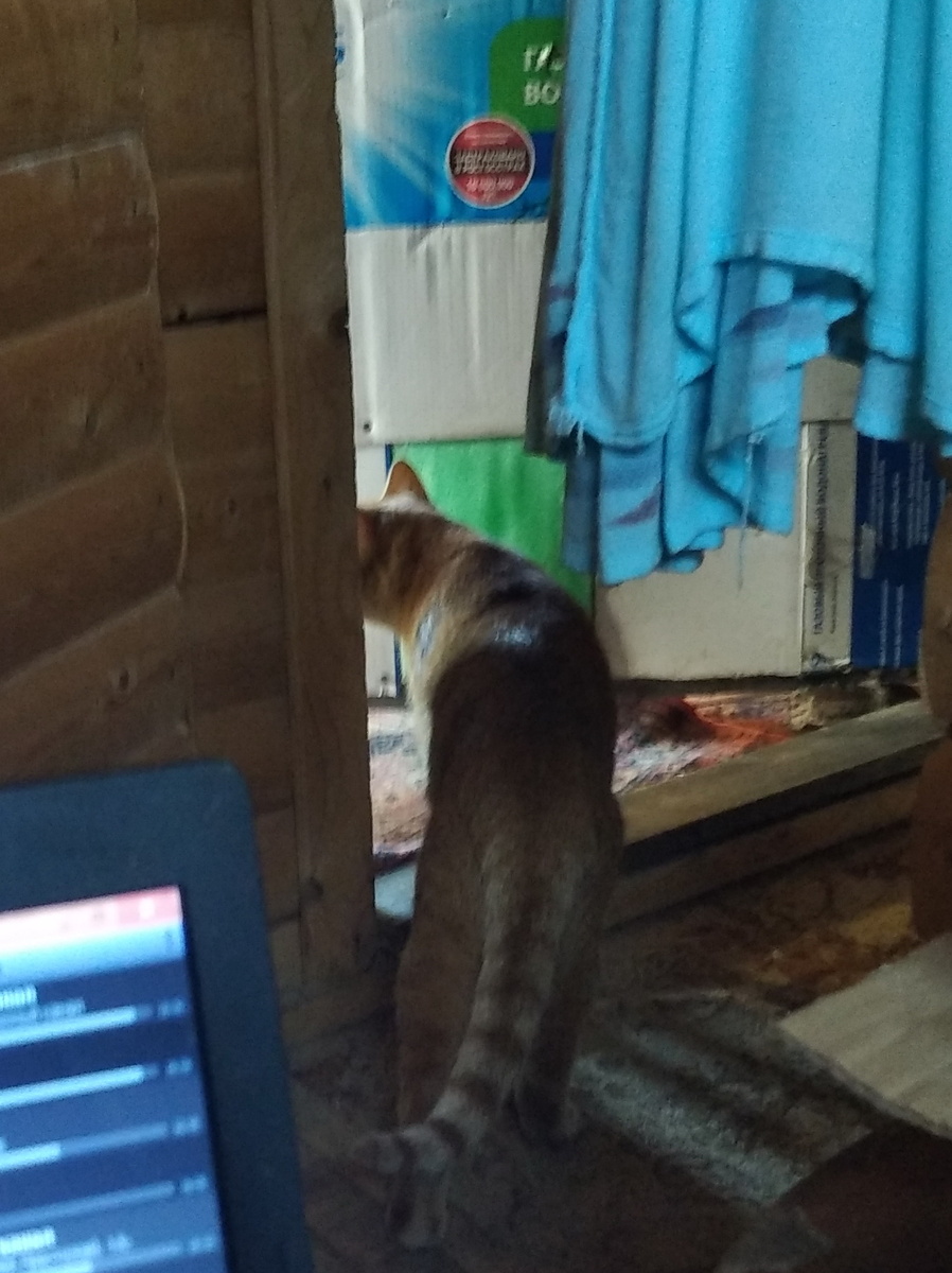 Личное фото