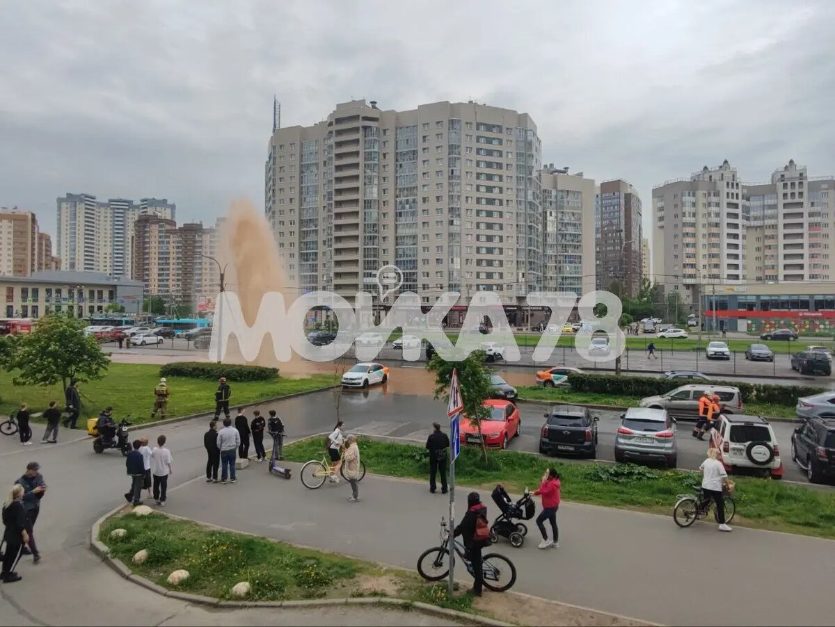    Фото: читатель Мойки78.