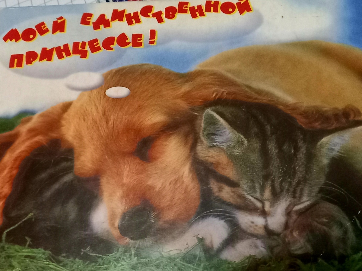 открытка от мужа