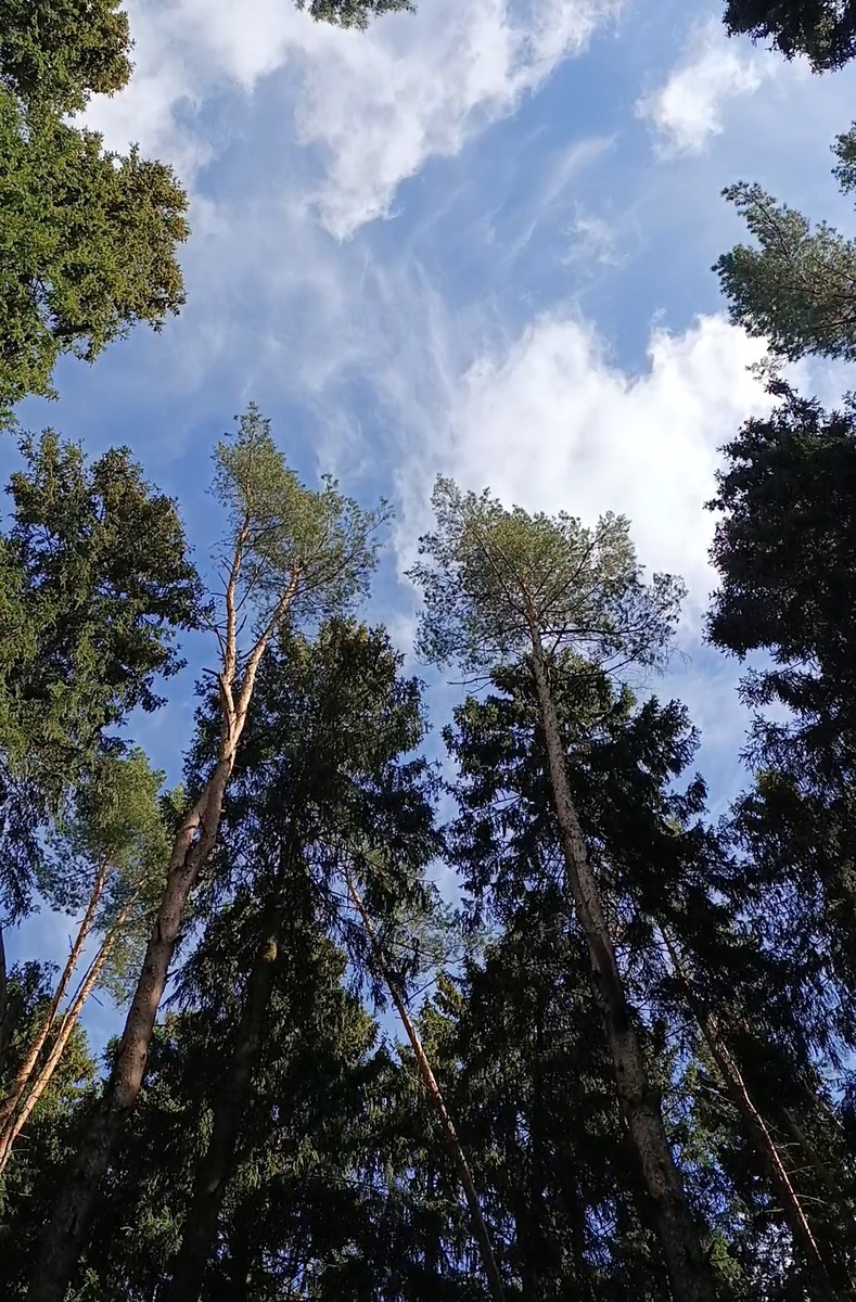 Почти озеро)