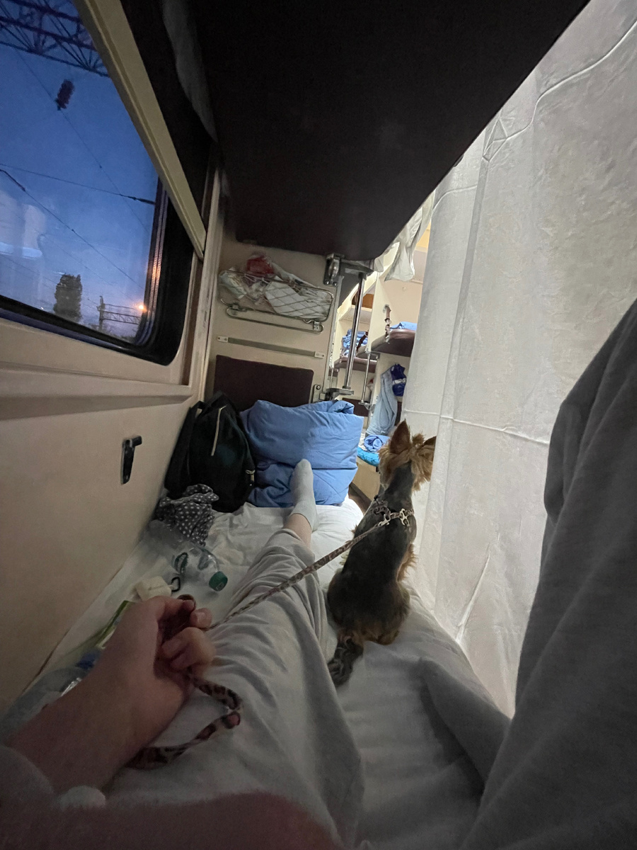 Наш микромир