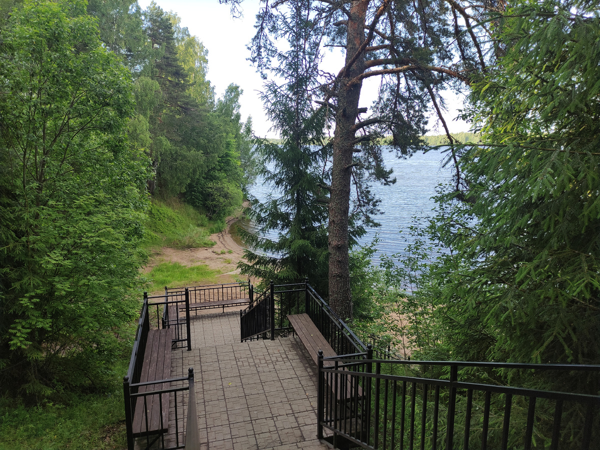 Окрестности Костромы. Спуск к Волге. Фото 2023 года