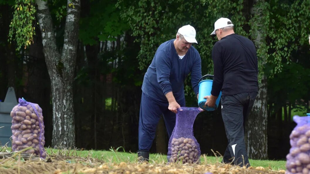    Фото: president.gov.by