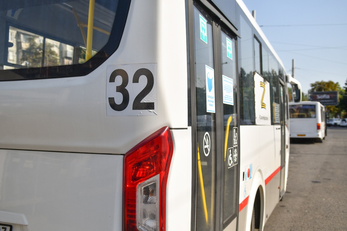    Фото: Александр Райко/пресс-служба администрации Краснодара