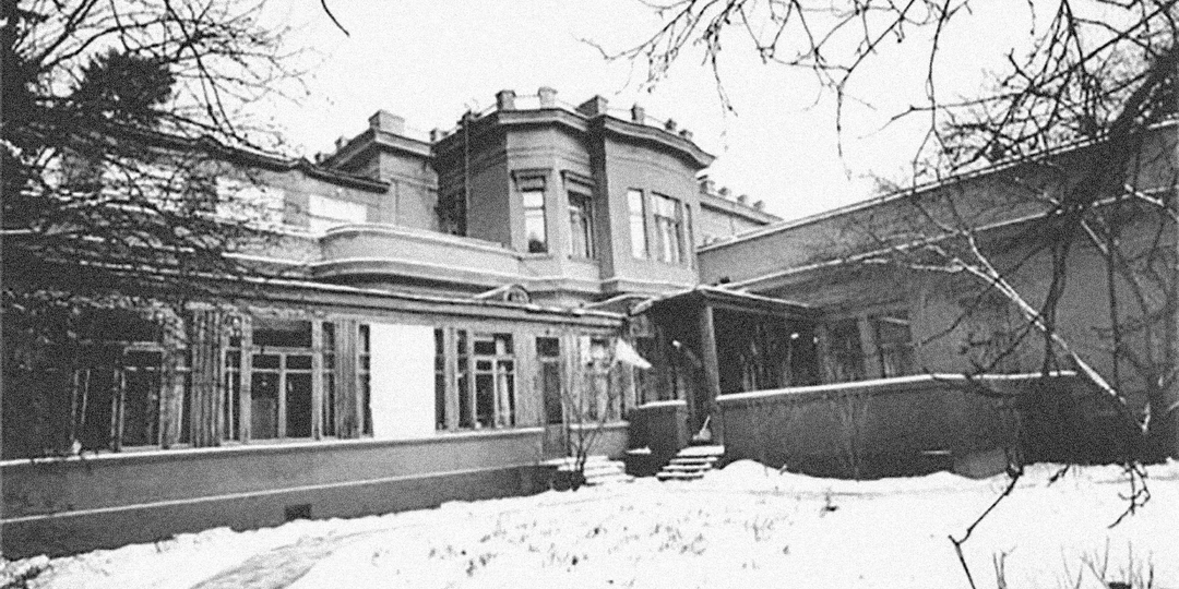 Почему Сталин был против уборки снега на даче