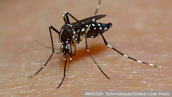     Фото: IMAGO/H. Schmidbauer/Global Look Press   
 Текст: Евгения Караваева