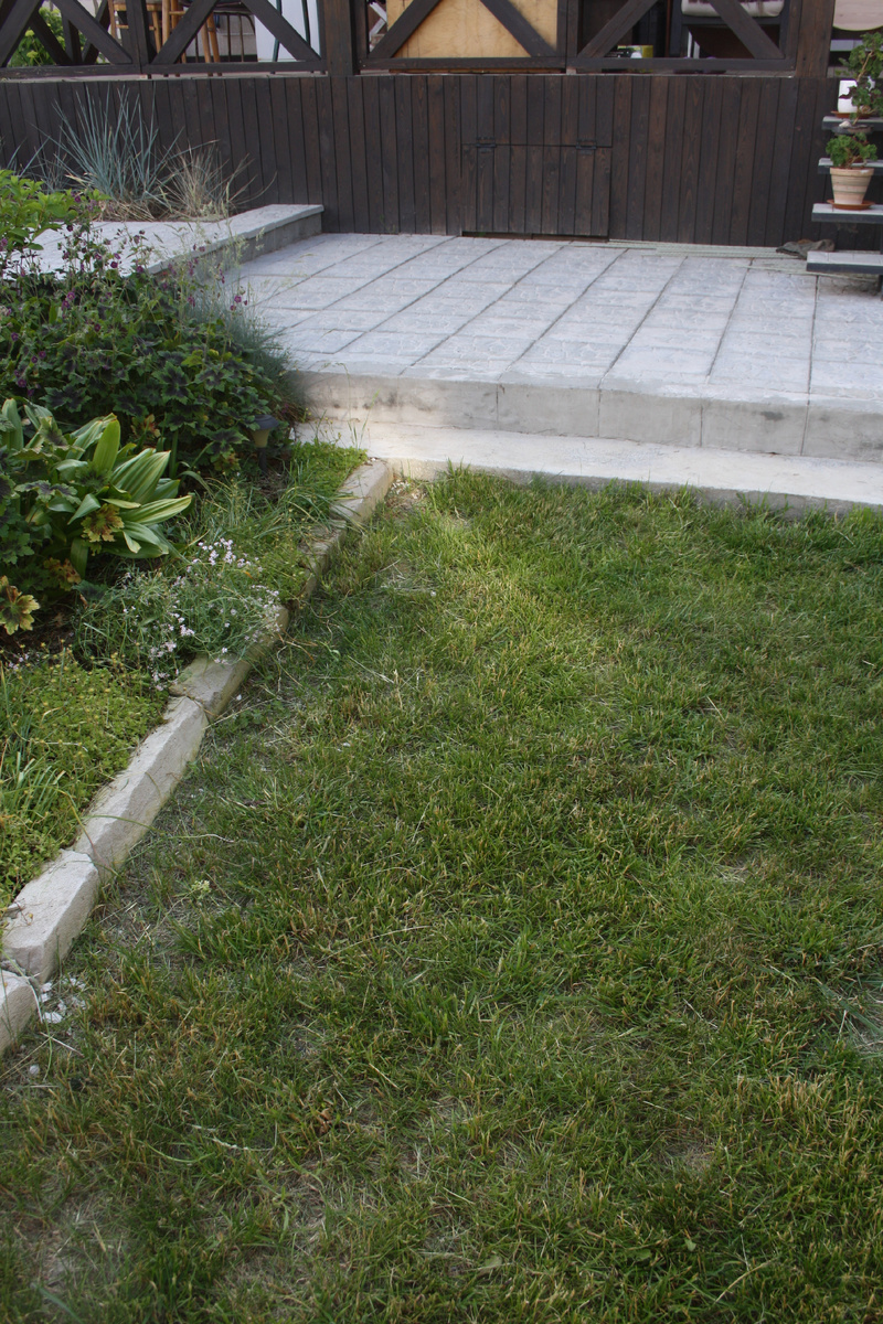 наш газончик, почти уже без сорняков, но с проплешинами, никак не засеваются