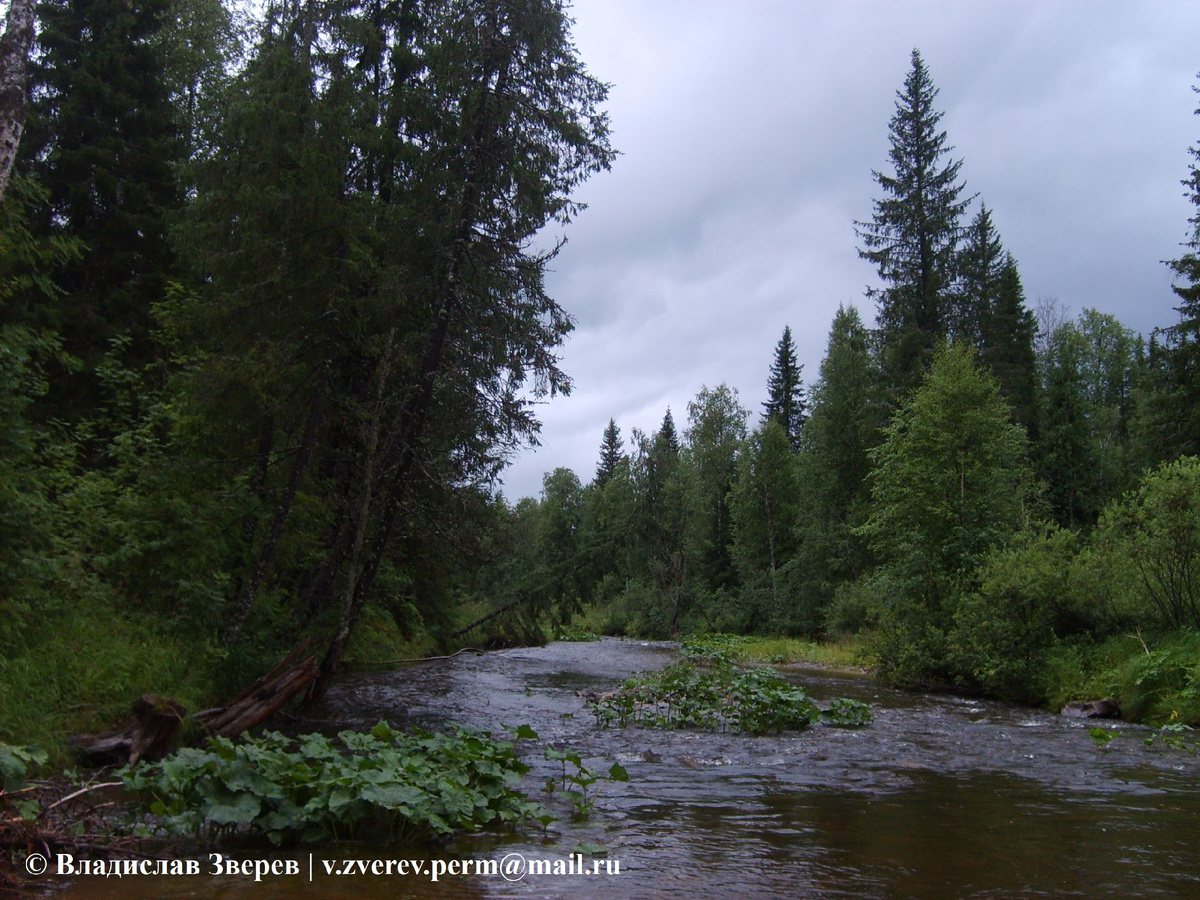 Фото 1. Река Хмели в среднем течении (начало сплава).