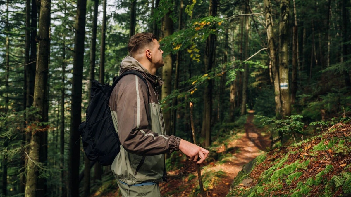    Фото: bodnar.photo/Shutterstock/Fotodom