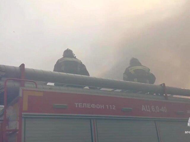   Фото: телеграм-канал "МЧС Московской области"