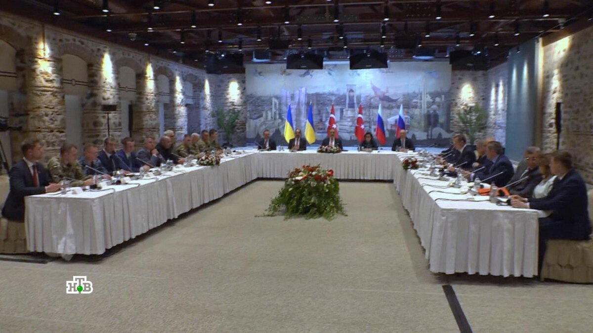    «Преимущество на стороне России»: зарубежные эксперты  о переговорах в Стамбуле