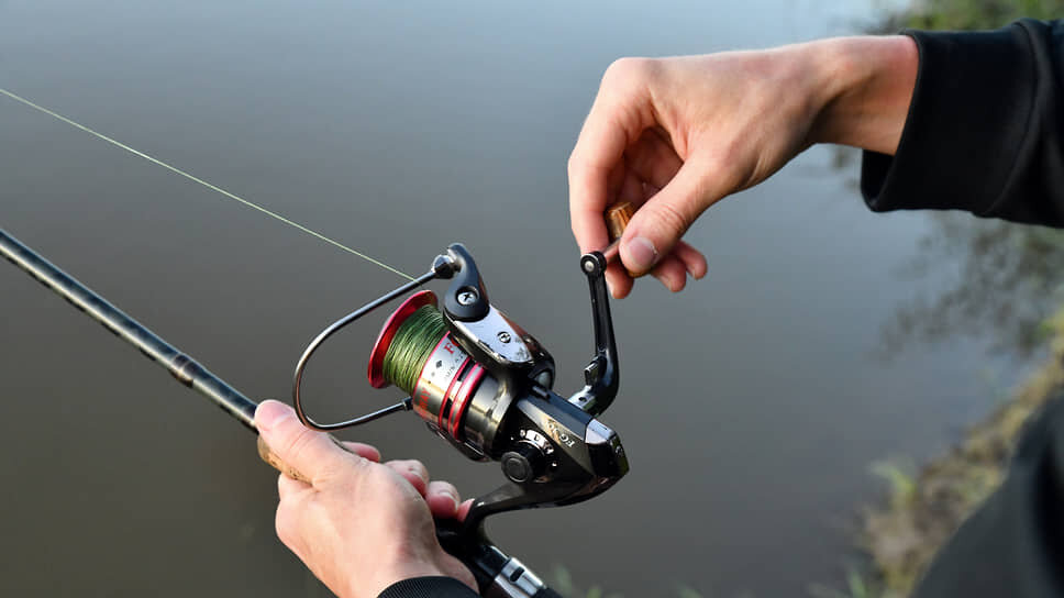 Фото: Александр Манзюк / Коммерсантъ