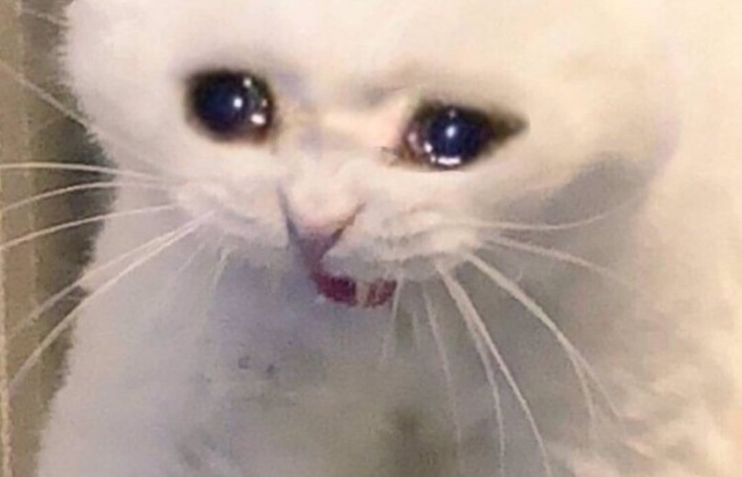 мое лицо когда мне отправляют фото штампованной фигурки в 3000шт