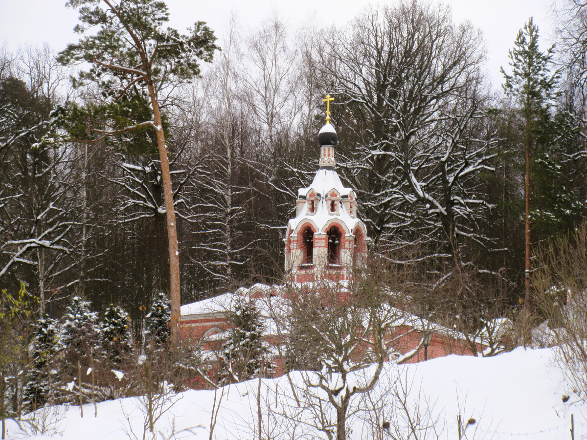 Фотографии: Антон Саков