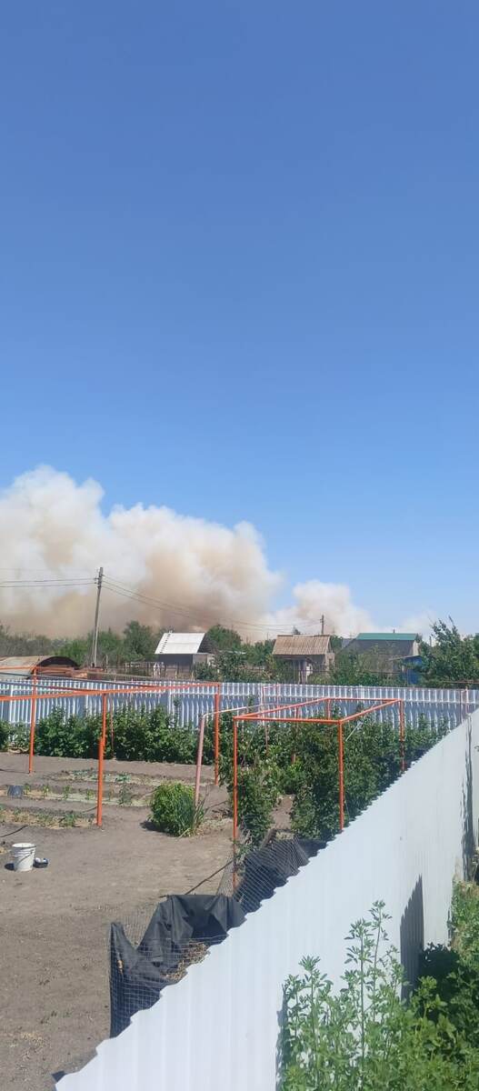 Фото из чата нашего СНТ