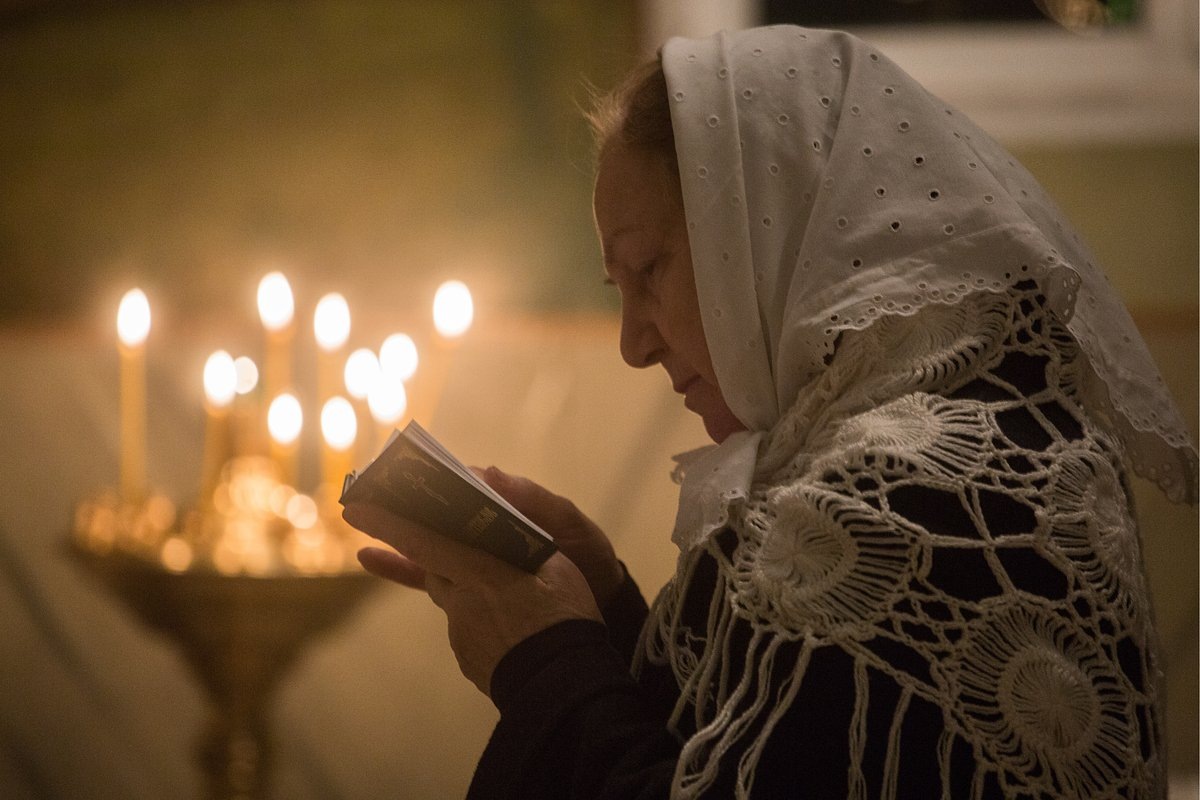 Фото: Дмитрий Феоктистов / ТАСС
