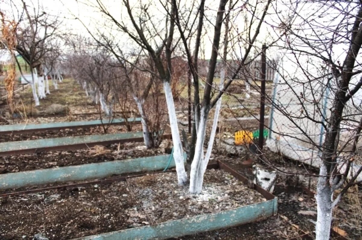    Конфликт в ТСН "Ратник" под Новосибирском не думает заканчиваться