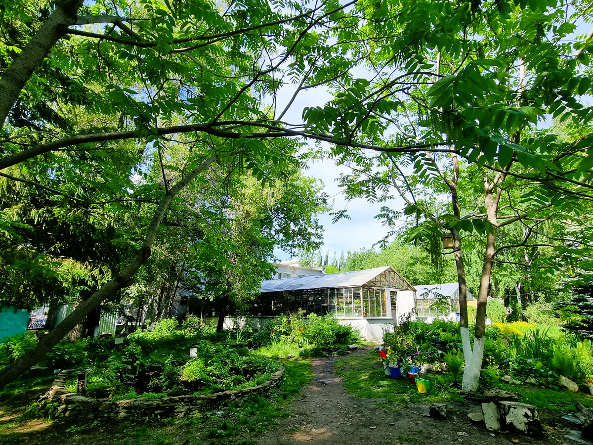 Теплицы в Харитоновском парке  г. Екатеринбурга. Личное фото