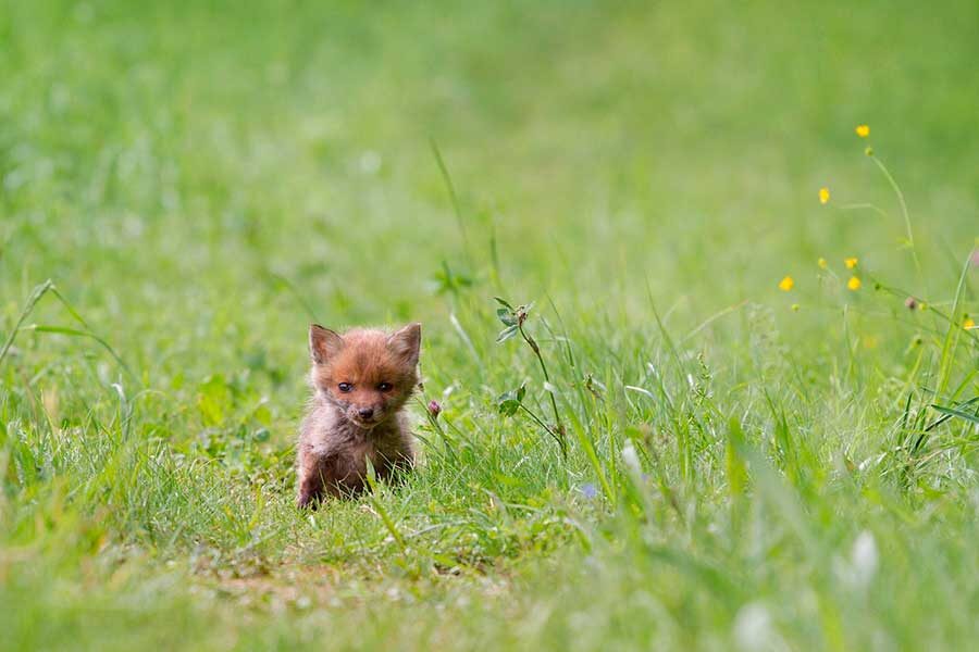    Снимок носит иллюстративный характер. Фото: Andreas / Pixabay.com