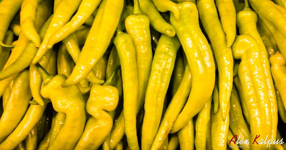 Перец цицак. Аутентичный рецепт грузинский перец в масле: секреты приготовления как бабушка учила