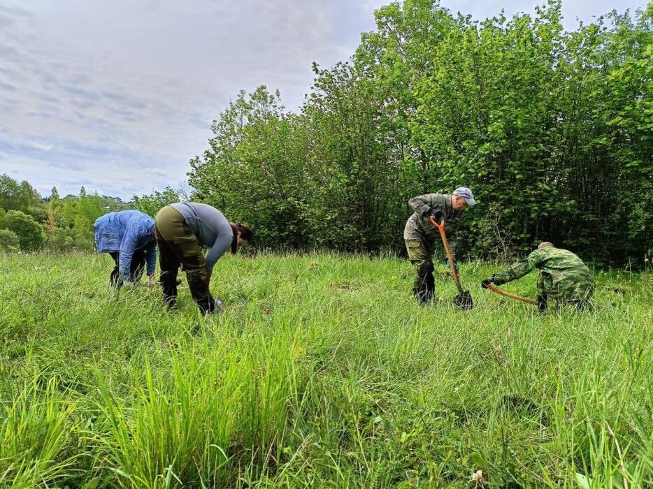 Раскопки в Печорском районе
Фото: Археологический центр Псковской области