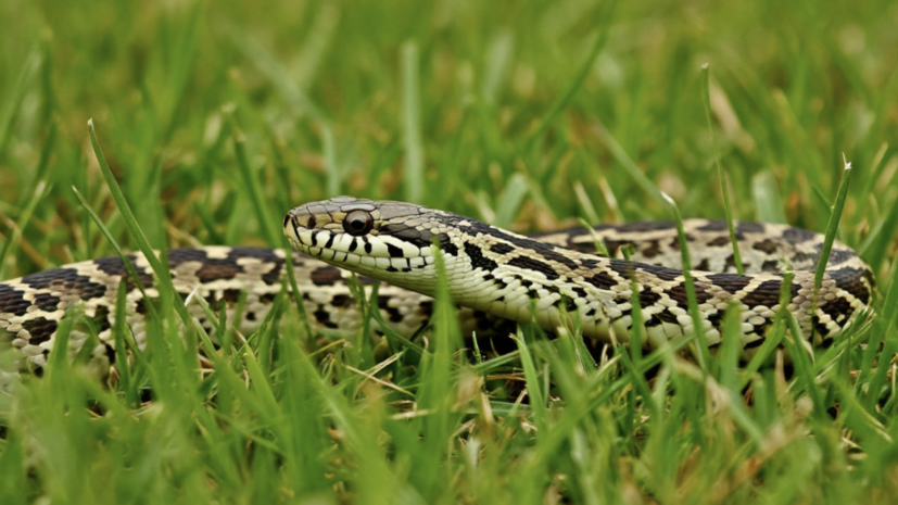    Сгенерировано с помощью ИИ