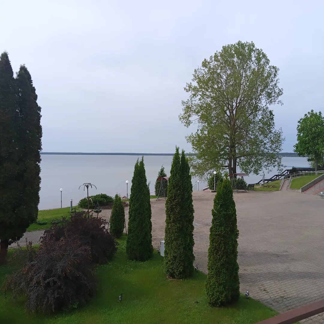 Вид из окна