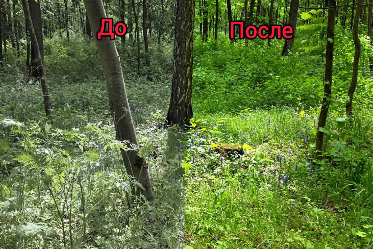 Мир вокруг можно воспринимать по-разному 